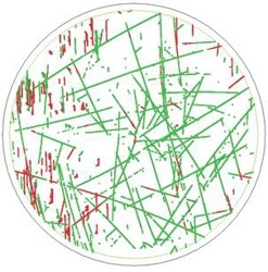 CMP scratches on SiC substrates