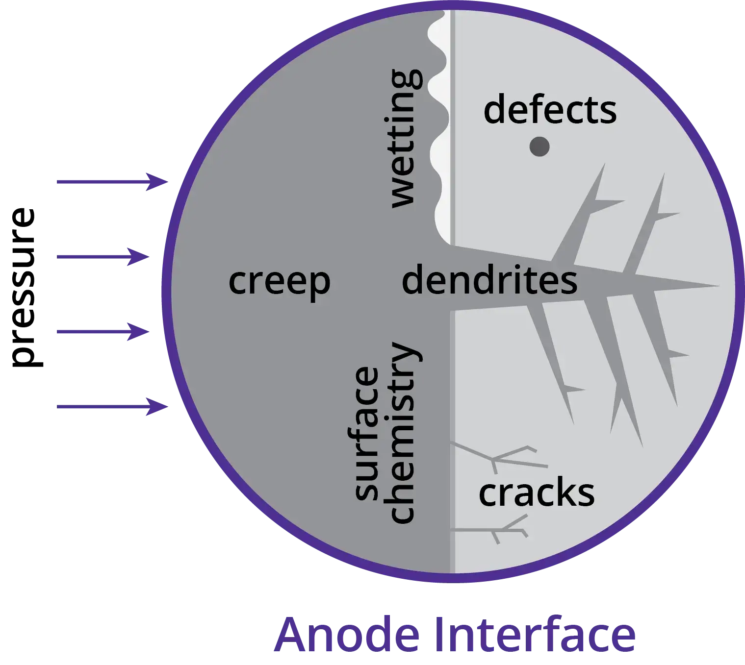 image of dendrite growth from the anode interface